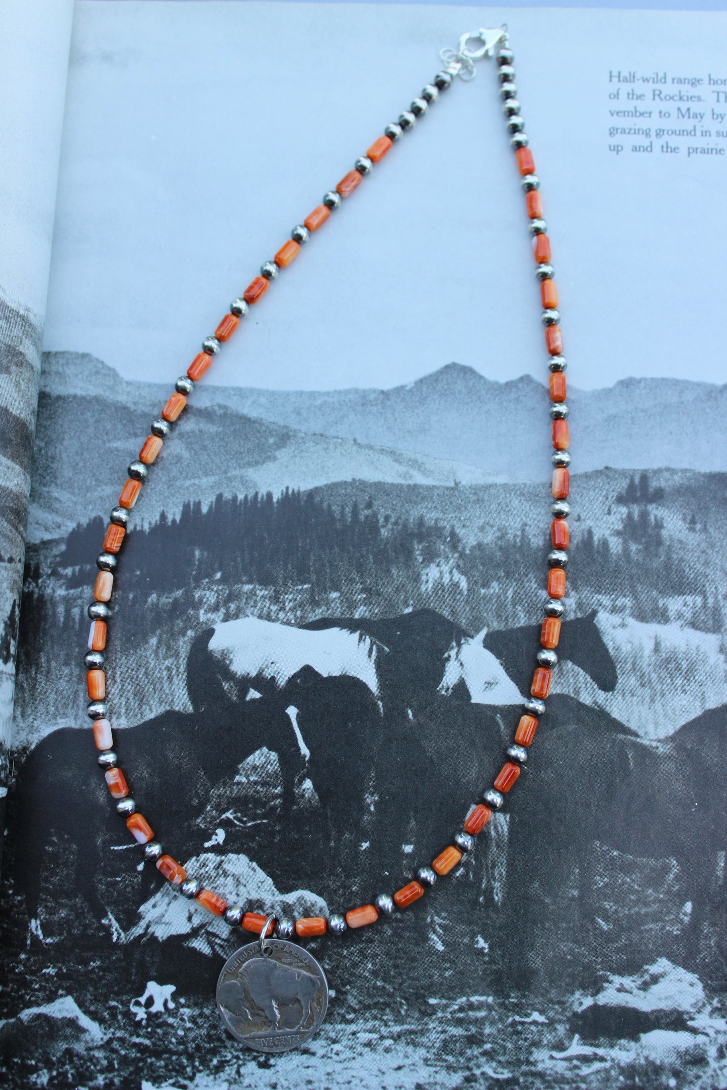 The Dakota Necklace