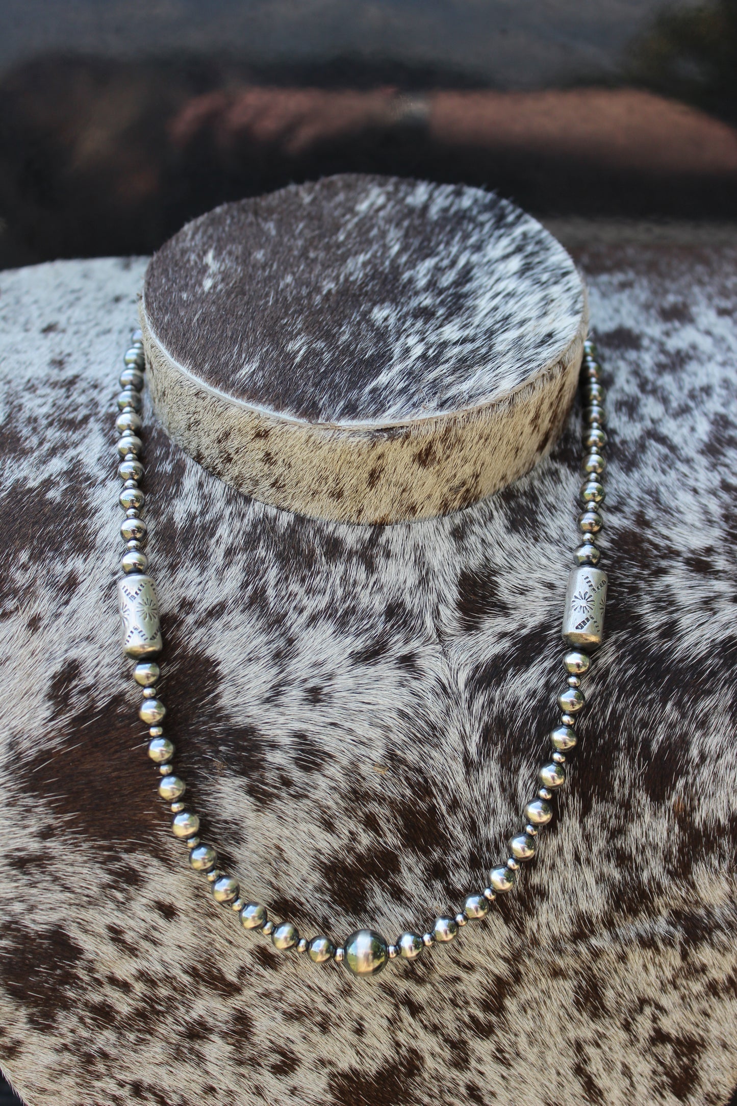 The Agave Trail Necklace