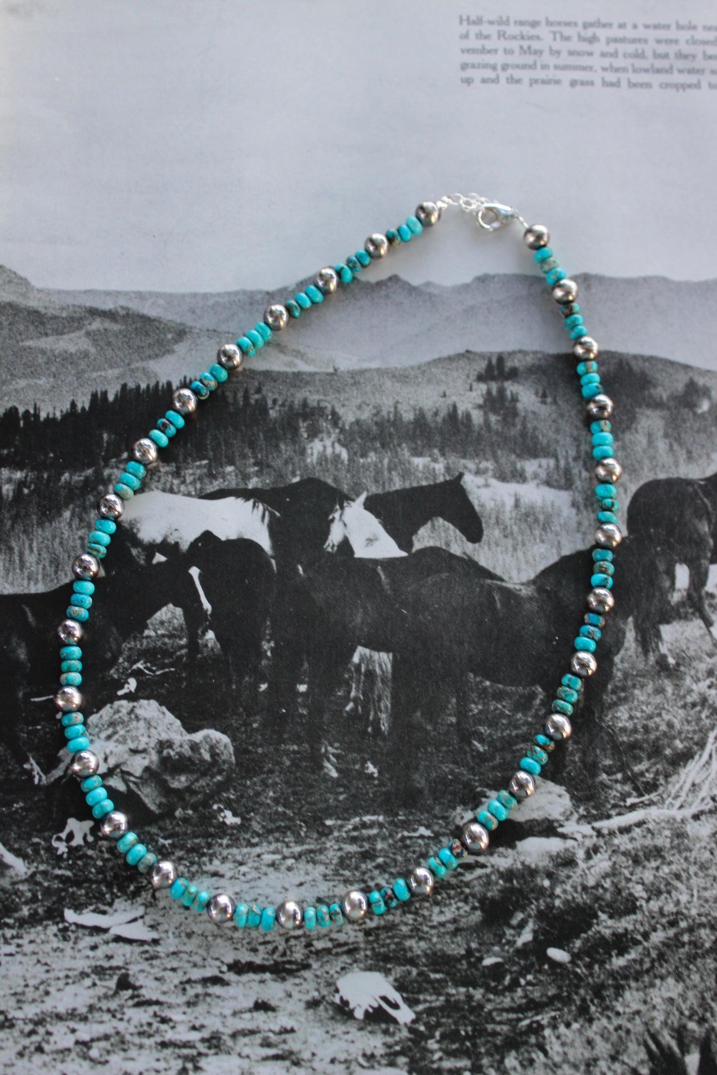 The Beverly Necklace